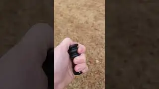 Quaker squirrel call