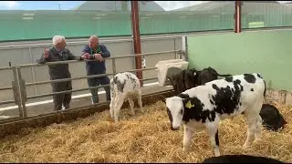 The Calf Shed