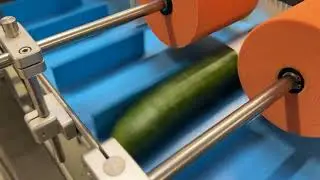 Efficient cucumber labelling with the HM300 | 160 units per minute