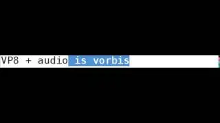 explanation of web formats for video and audio