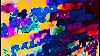 dayli exitement in dawless figures