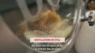 ELABORATION PROCESS - BOSQUE CRAFT GIN