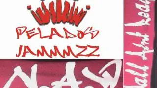 Ella Se Fue-Obezesion