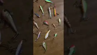 Best croppy ans walleye bait