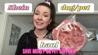 The Least Expensive Pet Products Out There! Shein Dog Products Review