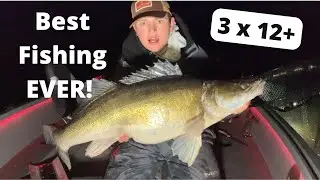 Best fishing ever, using Garmin livescope (Finland part 3)