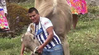 LOS MENSAJEROS DE TRANCAPAMPA Rafael Ventura LA PASTORITA DE ACOPALCA  Olga Clemente; WACA MUSIACHI