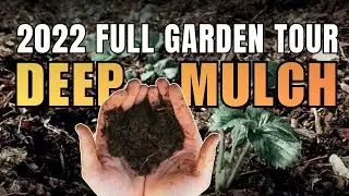 Deep Mulch Dry Farm Garden (Full Tour) 2022 - God&rsquo;s Garden In Portland, Oregon