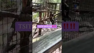 Day 3 of the Pocono vacation part 3 :) #fypviral #essa #douglasdog #vlog #recommended #viral 