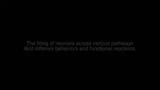 Physiological Psychology