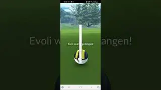 Evoli Shiny Curveball + Entwicklung zu Aquana Shiny / Pok&eacute;mon go