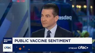 Dr. Scott Gottlieb on Novo Nordisk vs. Hims & Hers: We have a drug approval process for a reason