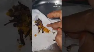 Secret Hack to Keep Rice Insect- free 😮 #shorts #viral #trending #hacks #bugs #Vasunaveenasri
