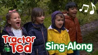 Apple Harvester Song 🍎 | Tractor Ted Sing-Along 🎶 | Tractor Ted Official Channel
