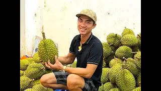 Anh Thanh khui sầu riêng cơm vàng, vỏ mỏng, Sáu Hữu ngon đỉnh của chớp