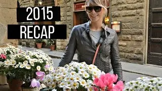 A Look Back at 2015 | acoest1984