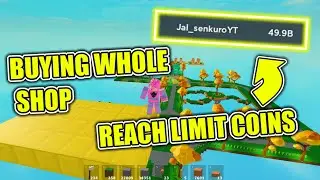 BUYING ALL People's Shop || I Reached the Limit Coins || Roblox Islands/Skyblock