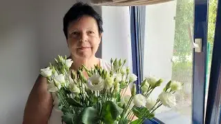 День рождения мамы 💐 шопинг продолжается )маг. Sinsay