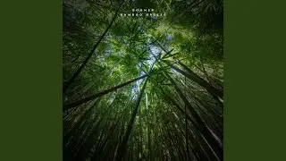 Bamboo Breeze