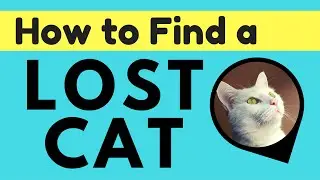 5 TIPS:  FIND YOUR LOST CAT | Pod GPS Tracker