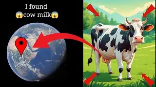 I found milk factory cow Google Earth and Google map cow statue Australia#googleearth 