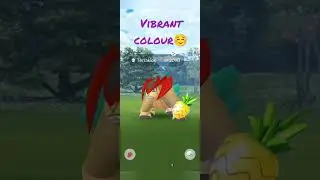 Final day shiny terrakion #shortsviral #pokemongoteam #shiny