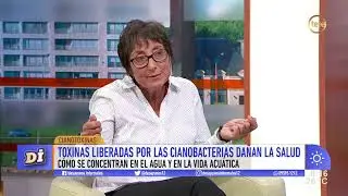 Cianotoxinas, las toxinas liberadas por las cianobacterias y que dañan la salud
