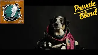 Music video with dogs / Life Is Like A Circle - Private Blend (Official Music Video)