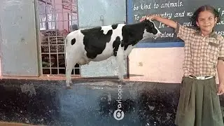 Fun with AR Loopa App