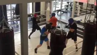 Тренировка по боксу. HAMMERSport