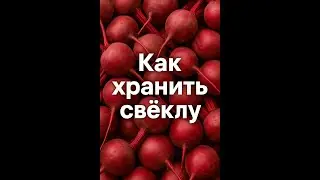 How to store beets.