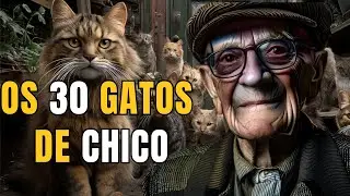 CHICO XAVIER E SEUS GATOS: UMA LI&Ccedil;&Atilde;O DE AMOR ETERNAMENTE!