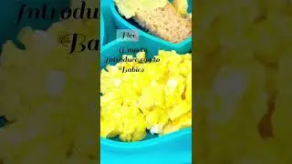Different ways to serve eggs to Babies from 6months