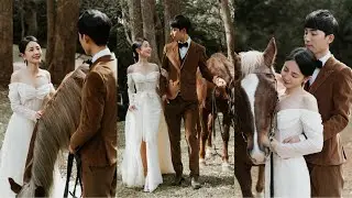 【悉尼婚纱照地点】马场 Otford Farm | The Salt Atelier