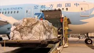Major airlines transport medics and supplies to Wuhan for free