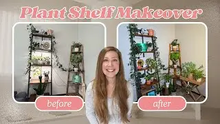 Office Plant Shelf Styling + Mini Houseplant Tour | Creative Plant Reorganization (Part 2)