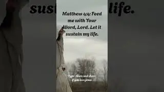 Matthew 4:4 Explained | Living by Every Word That Comes from God