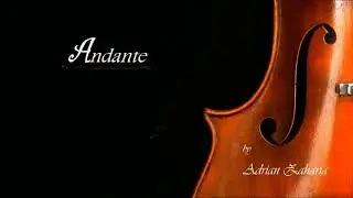Andante by Adrian Zaharia