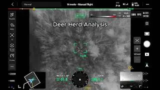 🔥 Thermal Drone Deer Herd Assessment! 🦌🔥 #WildlifeMonitoring