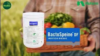 Insecticid biologic BactoSpeine DF - legume mai bine protejate