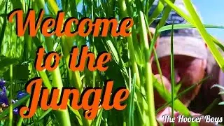 Metal Detecting LONG Grass | Welcome to the Jungle