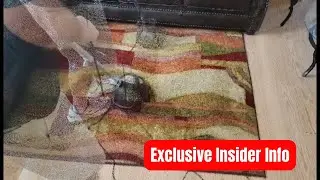 Oreck Orbiter Floor Cleaner Review & Demo 🧹 (Multi-Purpose Floor Machine)