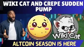 WIKI CAT AND CREPE: ВНЕЗАПНЫЙ РОСТ РЫНКА, СЕЗОН АЛЬТКОИНОВ УЖЕ НЕ ЗА горами