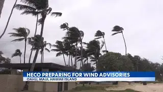 Hawaii residents brace for outages as winds threaten power lines