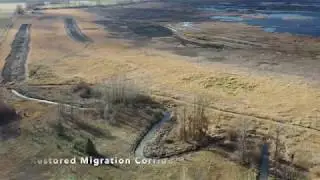 Year 1 Kootenay Connect: Northern Leopard Frog Habitat Enhancement, Creston Valley