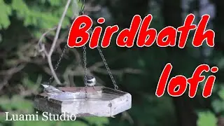 BIRDBATH - LOFI -LUAMI STUDIO