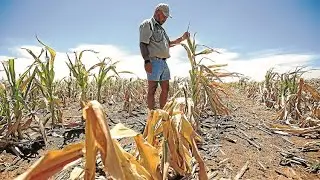 Self-determination of Afrikaners in South Africa (ANC supporters)