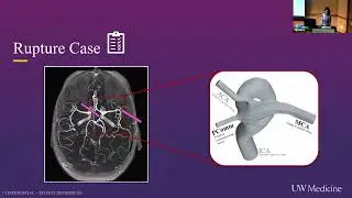 8/15/2025: Lehua Augello • Stroke & Applied NeuroScience Center