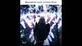 This duck is really cold | Eagly 