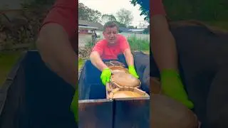 Amazing cheese of Ukrainian recipes/#shorts #viral #post #ideas #video